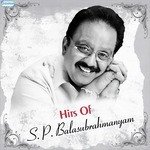 Hits of S.P. Balasubrahmanyam - Bali Brahmabhatt Song Download